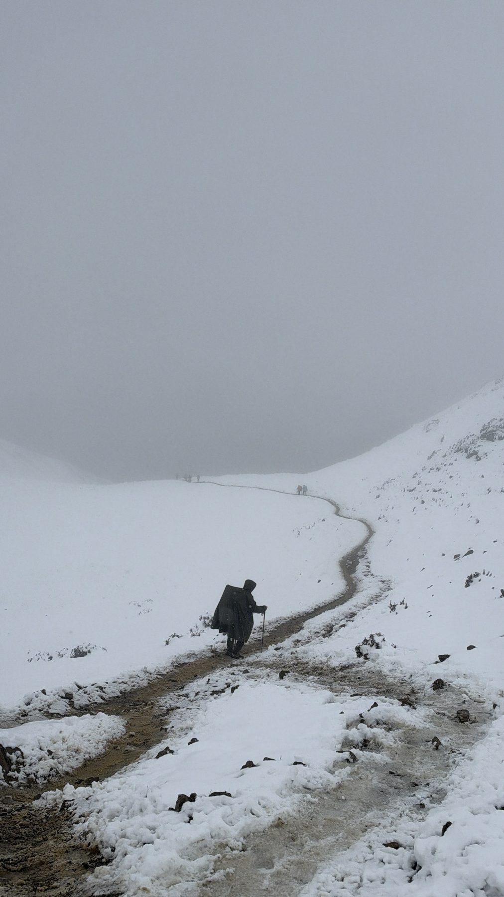 风雪中走向玉龙西垭口